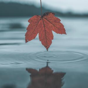 美女少妇被扣高潮视频
